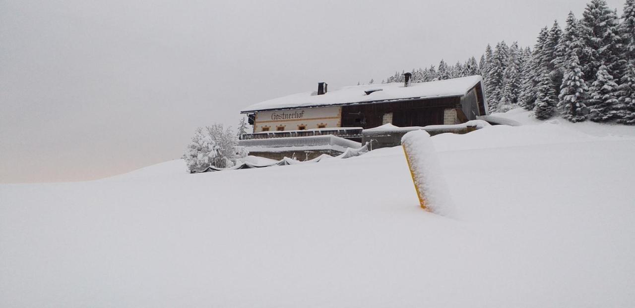 Ferienwohnung Gostnerhof Toblach Exterior foto