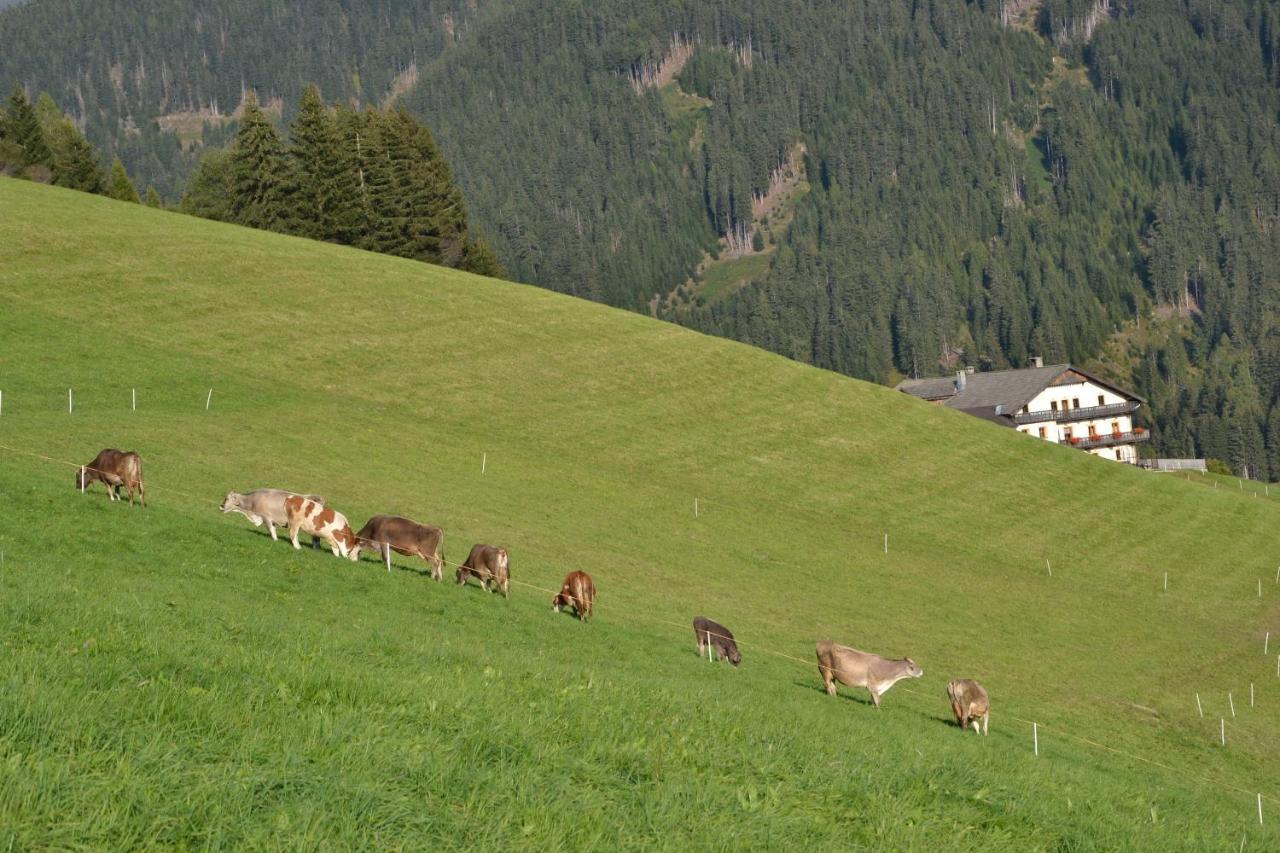 Ferienwohnung Gostnerhof Toblach Exterior foto